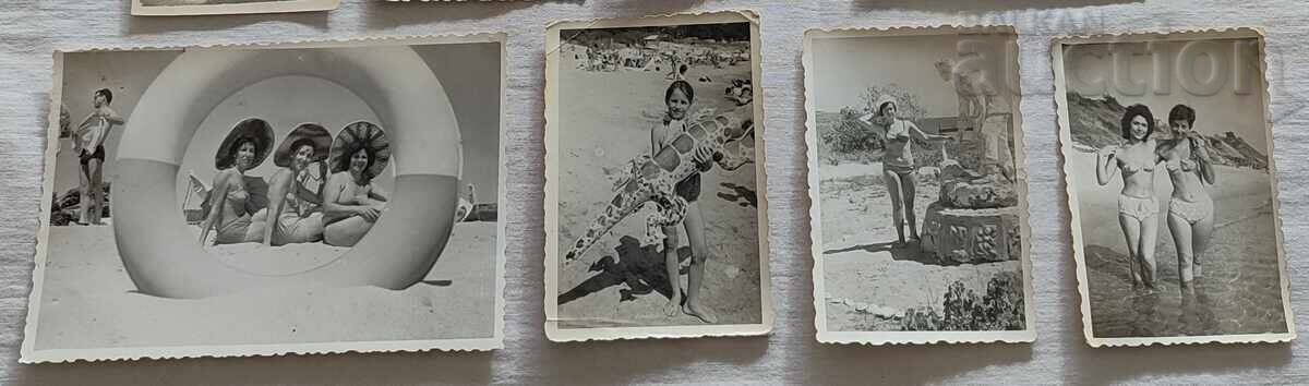 Licitație SUVENIRURI DE LA MARE POZE LOT 8 BUCĂȚI