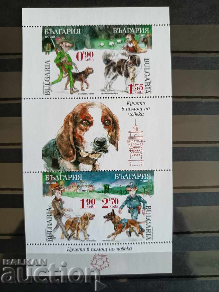 Small Print Run "The Dog Helping Man" from 2024, No. 5677