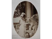 ΠΑΛΙΑ ΦΩΤΟΓΡΑΦΙΑ