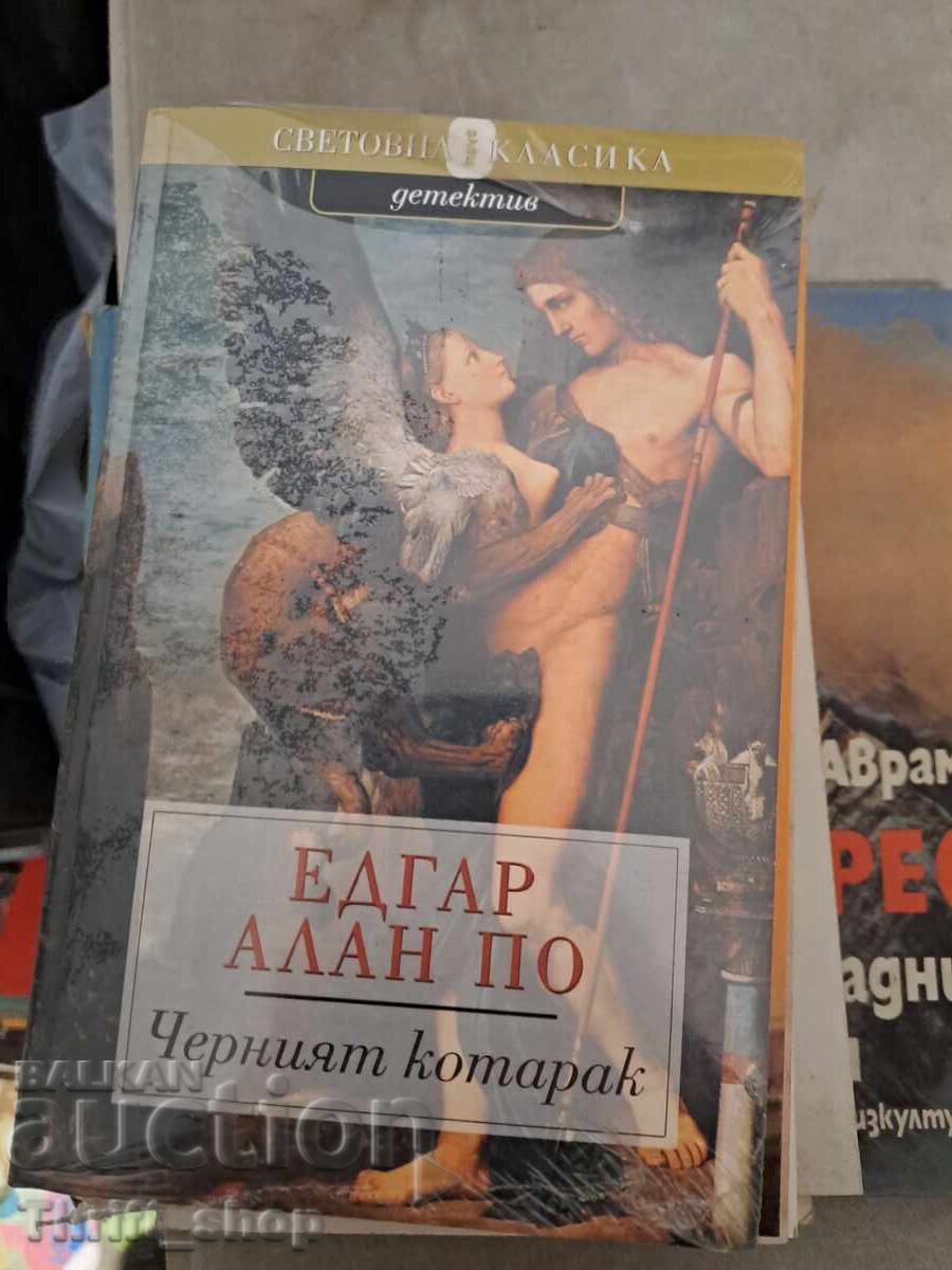 The Black Cat Edgar Allan Poe The Black Cat Edgar Allan Poe