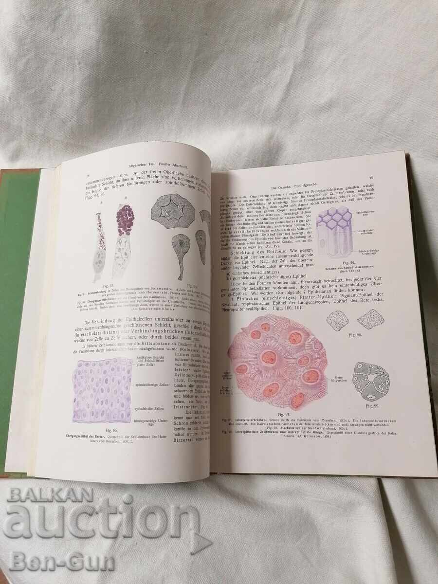Аукцион Атлас по анатомия от 1923год. Аукцион Атлас по анатомия от 1923год.