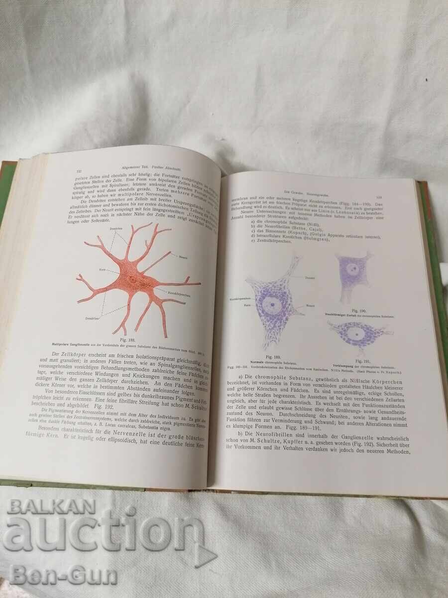 Атлас по анатомия от 1923год. - 6 Атлас по анатомия от 1923год. - 6