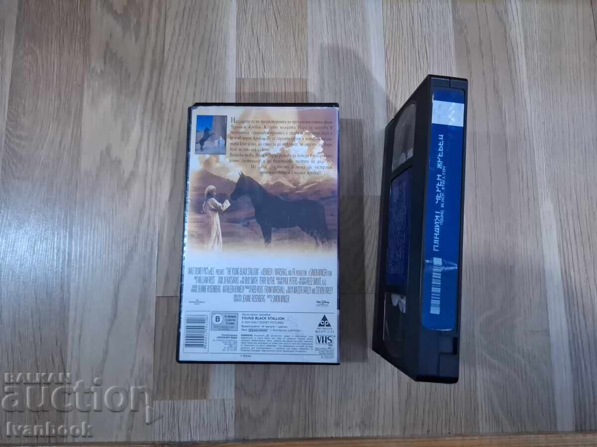 Δημοπρασία Βιντεοκασέτα VHS - Κινούμενα σχέδια Το μικρό μαύρο άτι