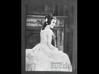 Σίλβια Έχει Ουγγαρία