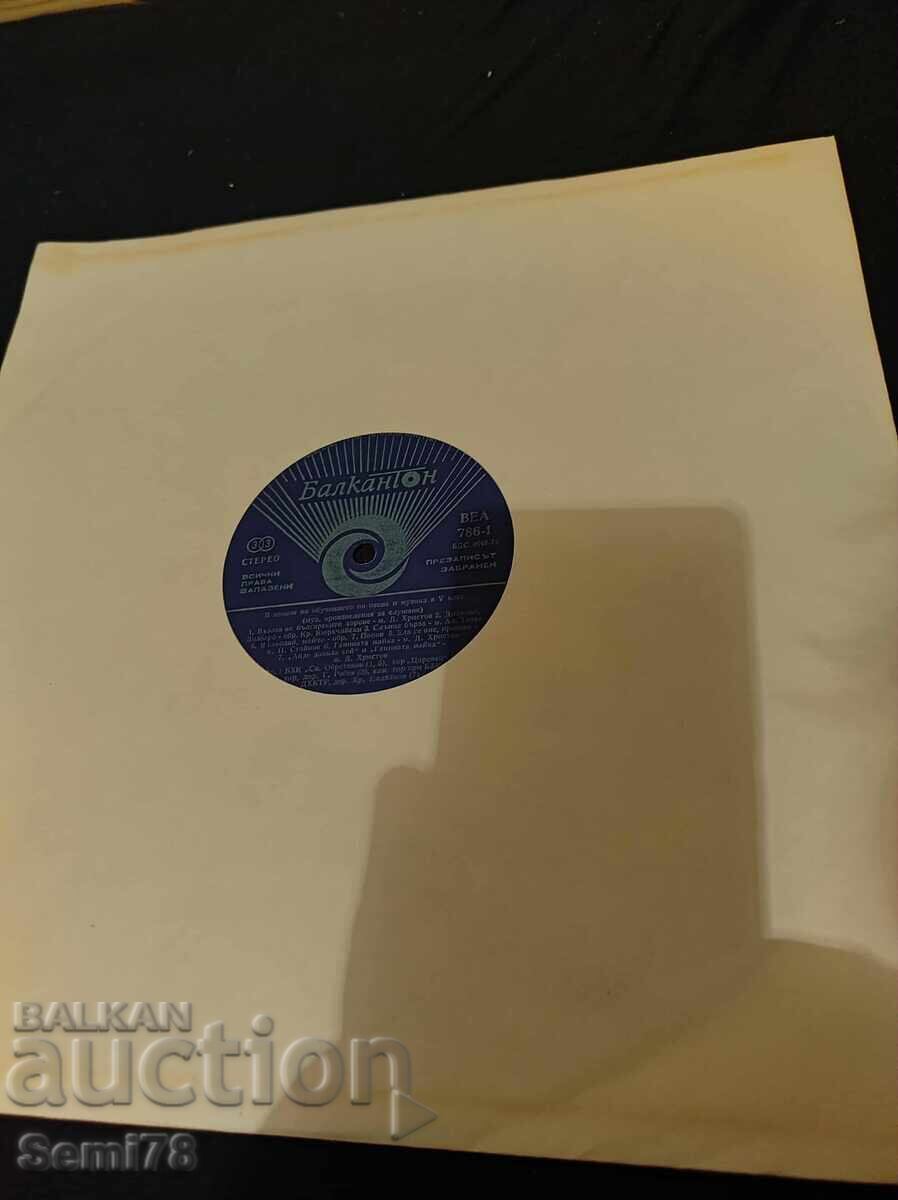 В помощ на обучението в 5 клас - Голяма - ВЕА 785