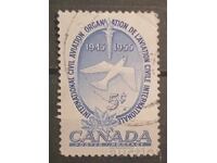 Canada Fauna/Păsări