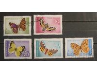 Ρουμανία Πανίδα/Πεταλούδες