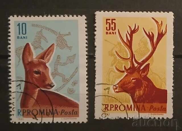 Ρουμανία Πανίδα Ρουμανία Πανίδα