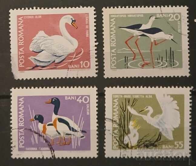 Ρουμανία Πανίδα/Πουλιά Ρουμανία Πανίδα/Πουλιά