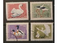 Faună/Păsări România