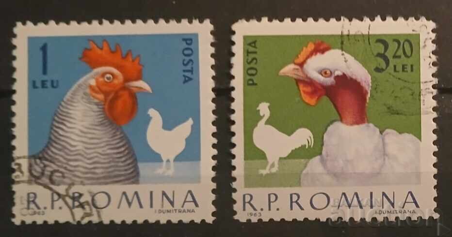 Ρουμανία Πανίδα/Πουλιά Ρουμανία Πανίδα/Πουλιά