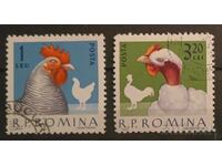 Ρουμανία Πανίδα/Πουλιά