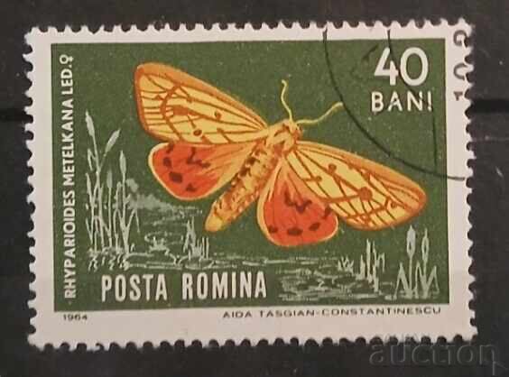 Romania Fauna/Butterflies