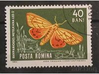 Romania Fauna/Butterflies