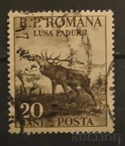 Faună România Faună România