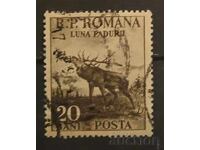 Ρουμανία Πανίδα