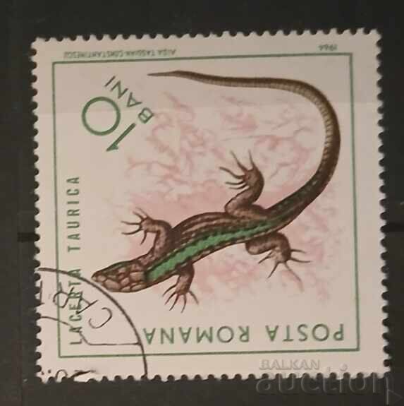 Ρουμανία Πανίδα Ρουμανία Πανίδα