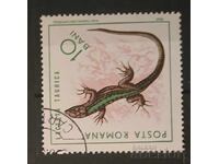 Ρουμανία Πανίδα