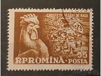 Ρουμανία Πανίδα/Πουλιά