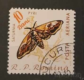 Румъния Фауна/Пеперуди