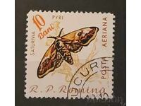 Румъния Фауна/Пеперуди