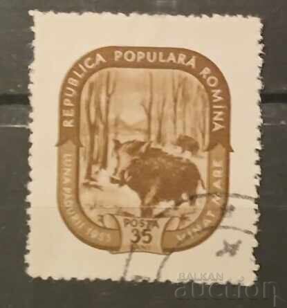 Румъния Фауна Румъния Фауна