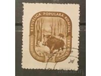 Ρουμανία Πανίδα