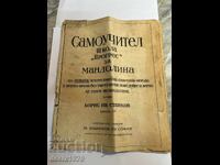 Mandolin Self-Taught Book from 1921