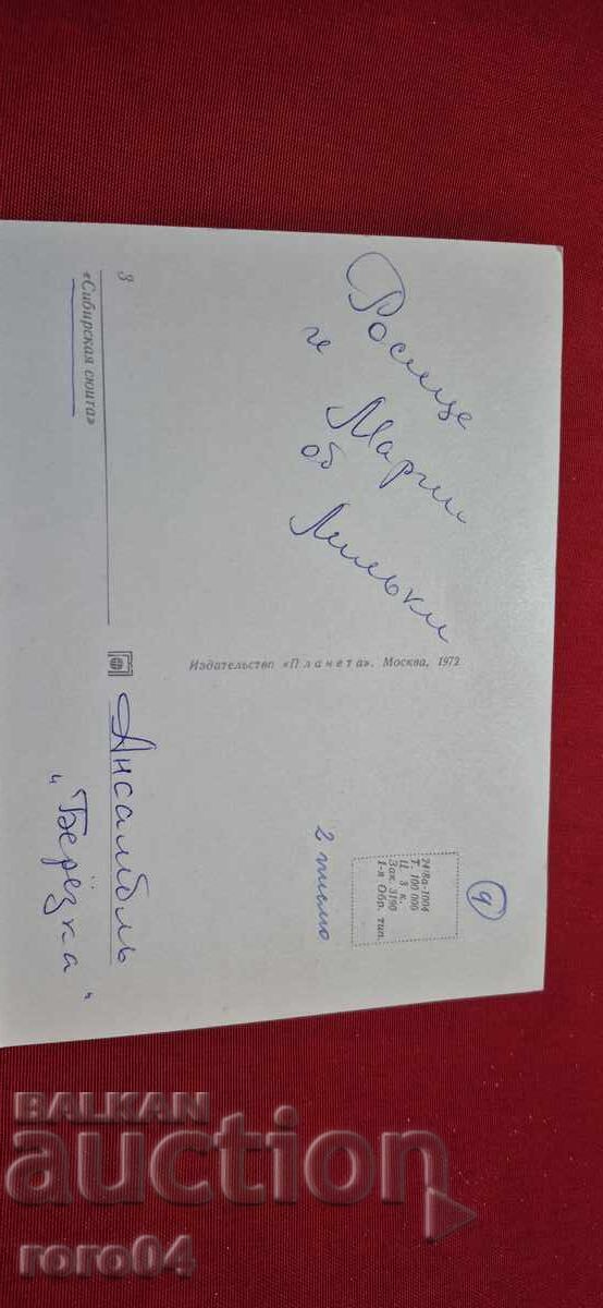 SIBERIAN SUITE - 6 SIBERIAN SUITE - 6