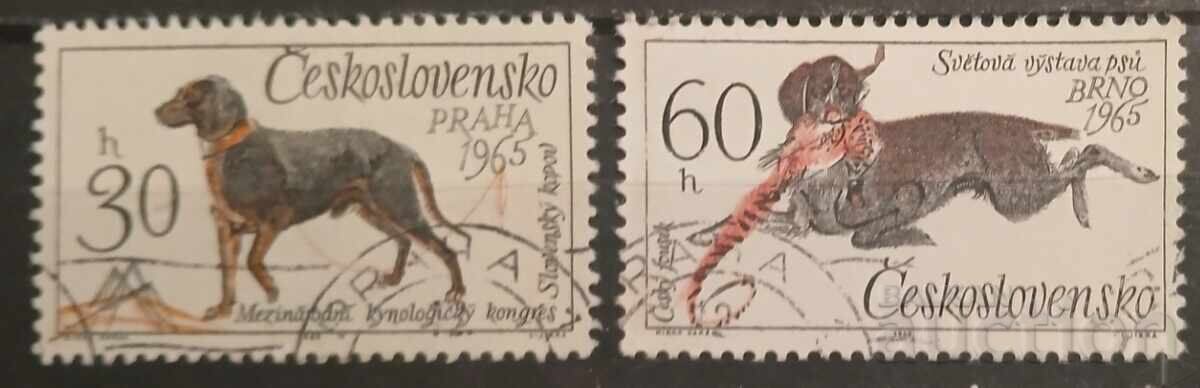 Чехословакия Фауна/Кучета Чехословакия Фауна/Кучета