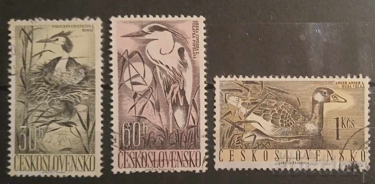 Cehoslovacia Faună/Păsări