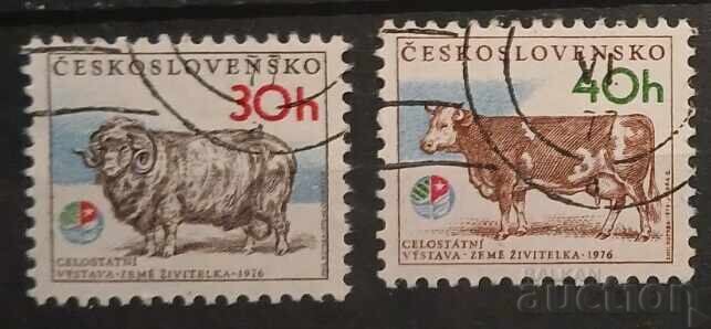 Τσεχοσλοβακία Φαύνα Τσεχοσλοβακία Φαύνα