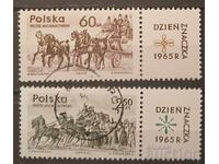 Πολωνία Άλογα