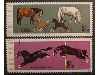 Πολωνία Φαύνα/Άλογα