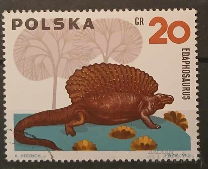 Πολωνία Πανίδα