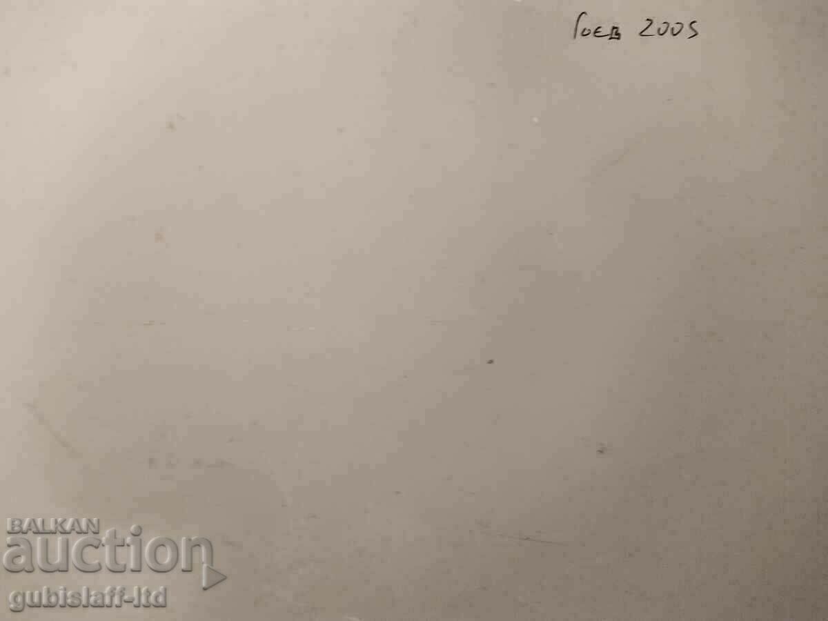 Аукцион Картина,  море, чайки, худ. Владимир Гоев, 2005 г.