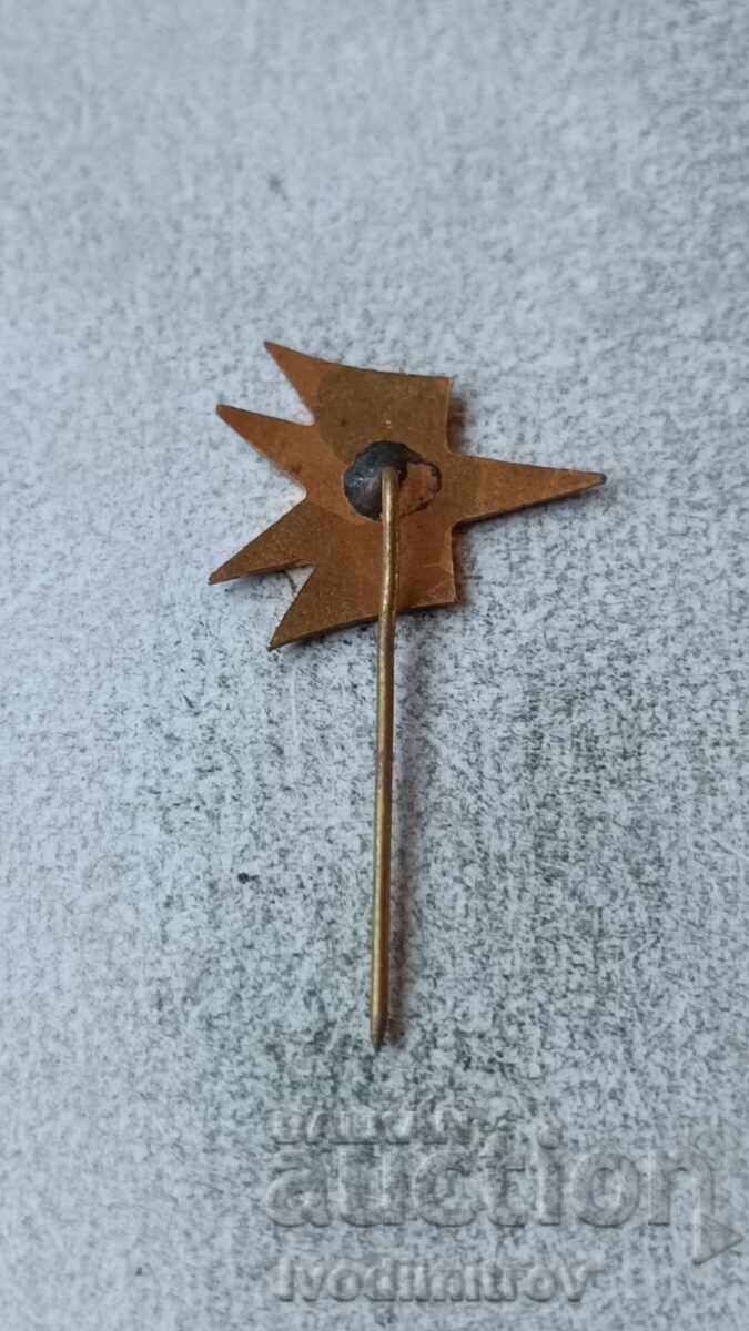 Balkan Badge with price 3.85 BGN | € 1.97