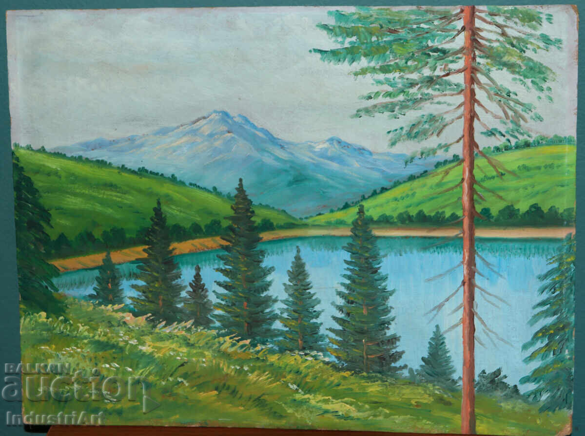 Παλιά ελαιογραφία, ανοιξιάτικο τοπίο με τιμή 200.00 BGN | € 102.26