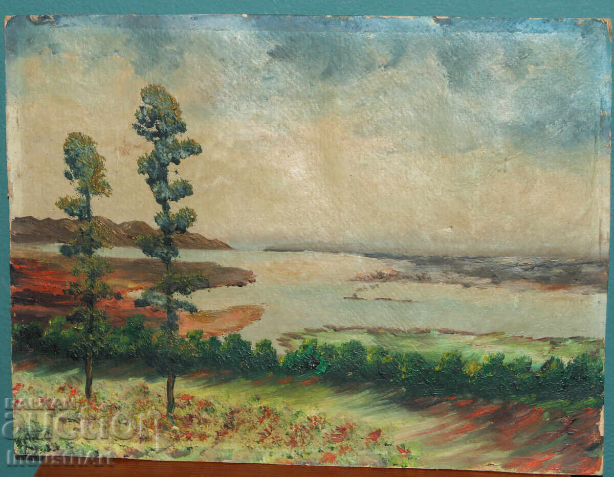 Old oil painting, river landscape with price 200.00 BGN | € 102.26
