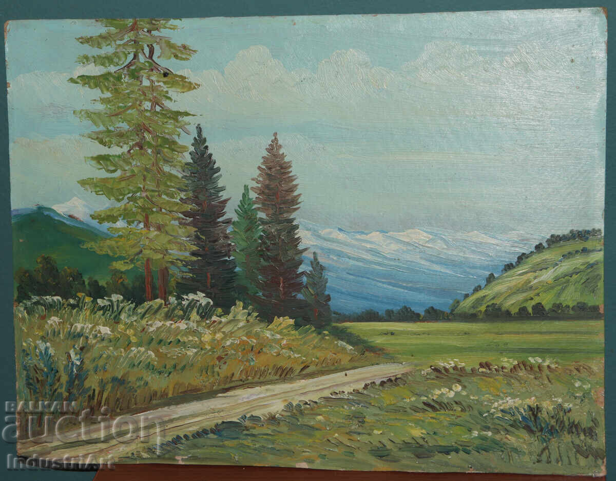 Tablou vechi, ulei pe pânză, peisaj montan cu preț 220.00 BGN | € 112.48
