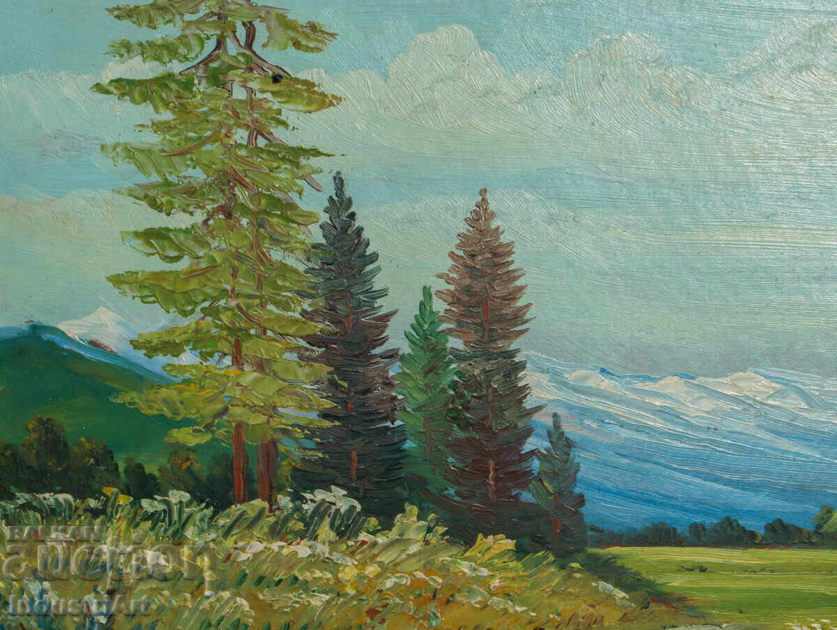 Livrarea Tablou vechi, ulei pe pânză, peisaj montan