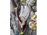 ANTELOPE HUNTING TROPHY