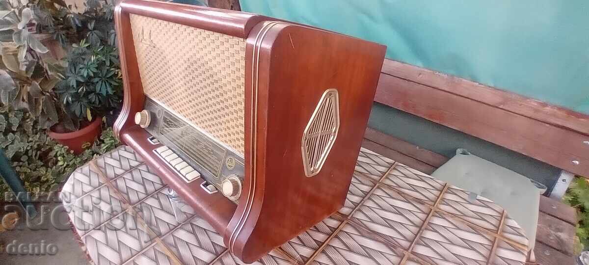 Ραδιόλα Ζιλ, Οκτάβα, 1958 ετών - 7