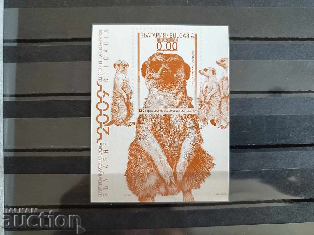 Σουβενίρ μπλοκ "Σουρικάτ" Νο. 4838 του 2008 Σουβενίρ μπλοκ "Σουρικάτ" Νο. 4838 του 2008