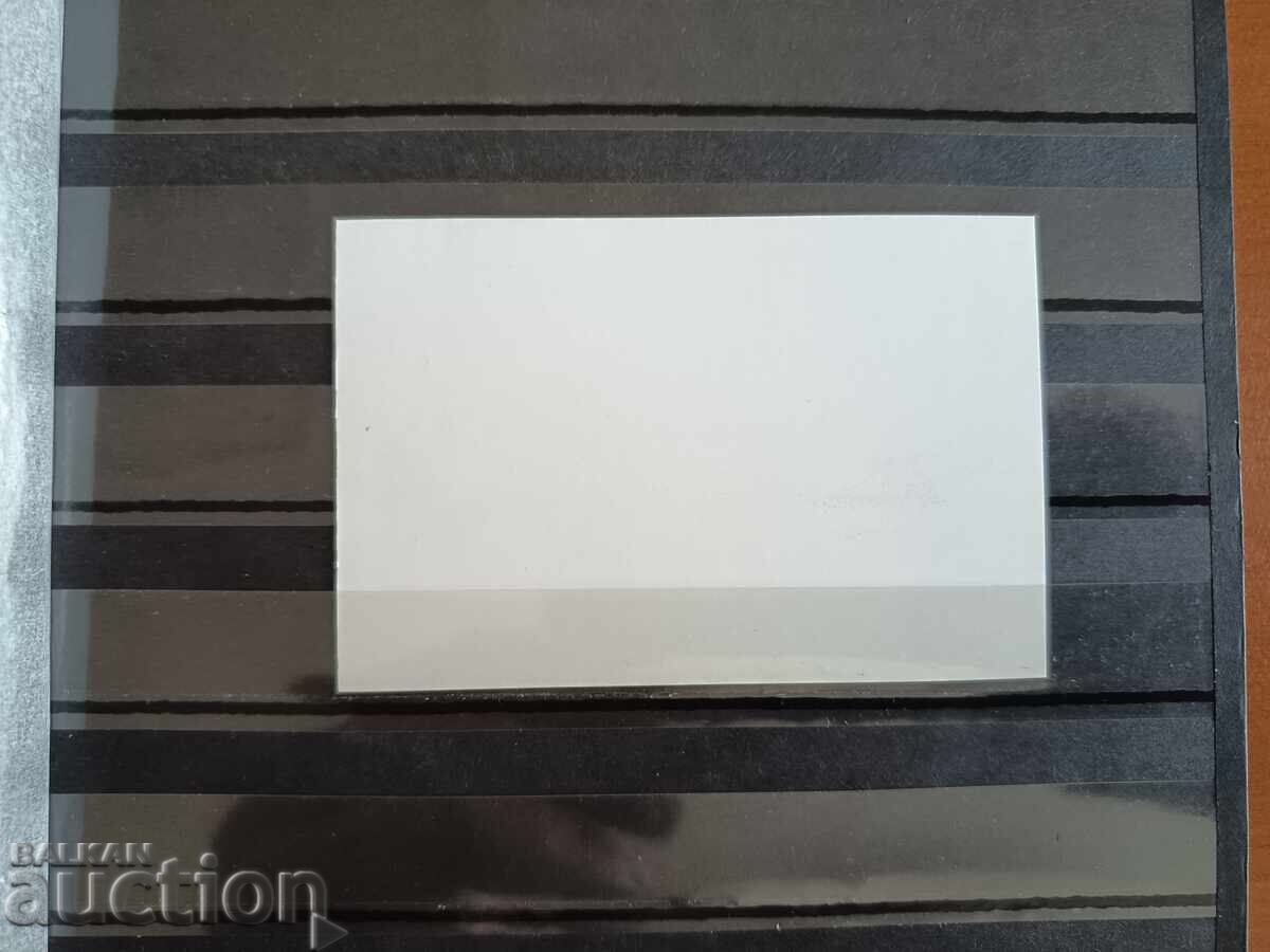 Auction  Souvenir block "Scouts" on No. 4776/77 from 2007