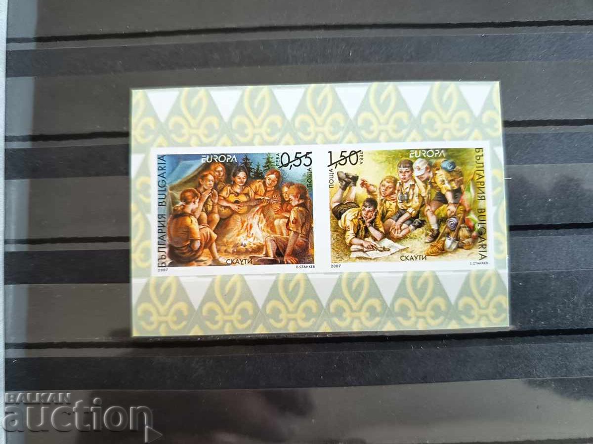 Souvenir block "Scouts" on No. 4776/77 from 2007