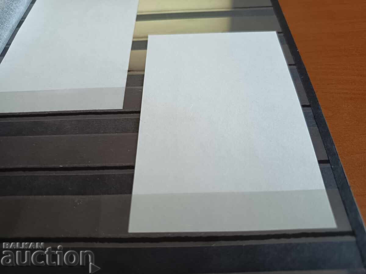 Σουβενίρ μπλοκ "Κάκτοι" στο Νο. 4888 του 2009 - 5 Σουβενίρ μπλοκ "Κάκτοι" στο Νο. 4888 του 2009 - 5