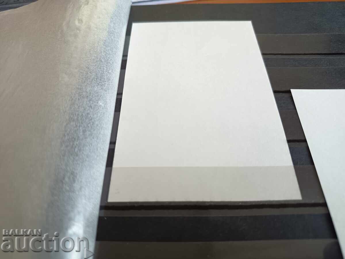 Σουβενίρ μπλοκ "Κάκτοι" στο Νο. 4888 του 2009 - 6 Σουβενίρ μπλοκ "Κάκτοι" στο Νο. 4888 του 2009 - 6