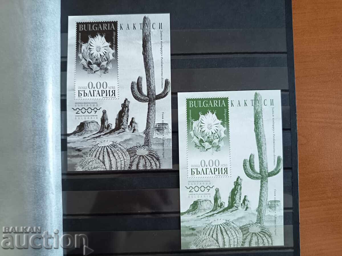 Σουβενίρ μπλοκ "Κάκτοι" στο Νο. 4888 του 2009 Σουβενίρ μπλοκ "Κάκτοι" στο Νο. 4888 του 2009