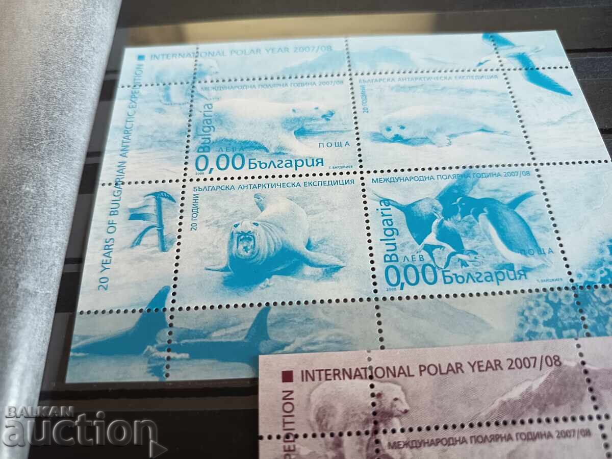 Auction  Souvenir block International Polar Year of No. 4816 from 2008